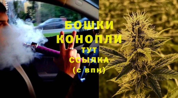 mix Богородицк